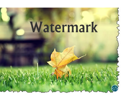 watermark-add-watermark-on-images